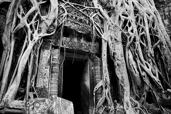 Lost Doorway, Ta Prohm